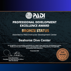 PADI EMEA Bronze Professional Development Excellence Award