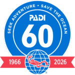 padi_60 years