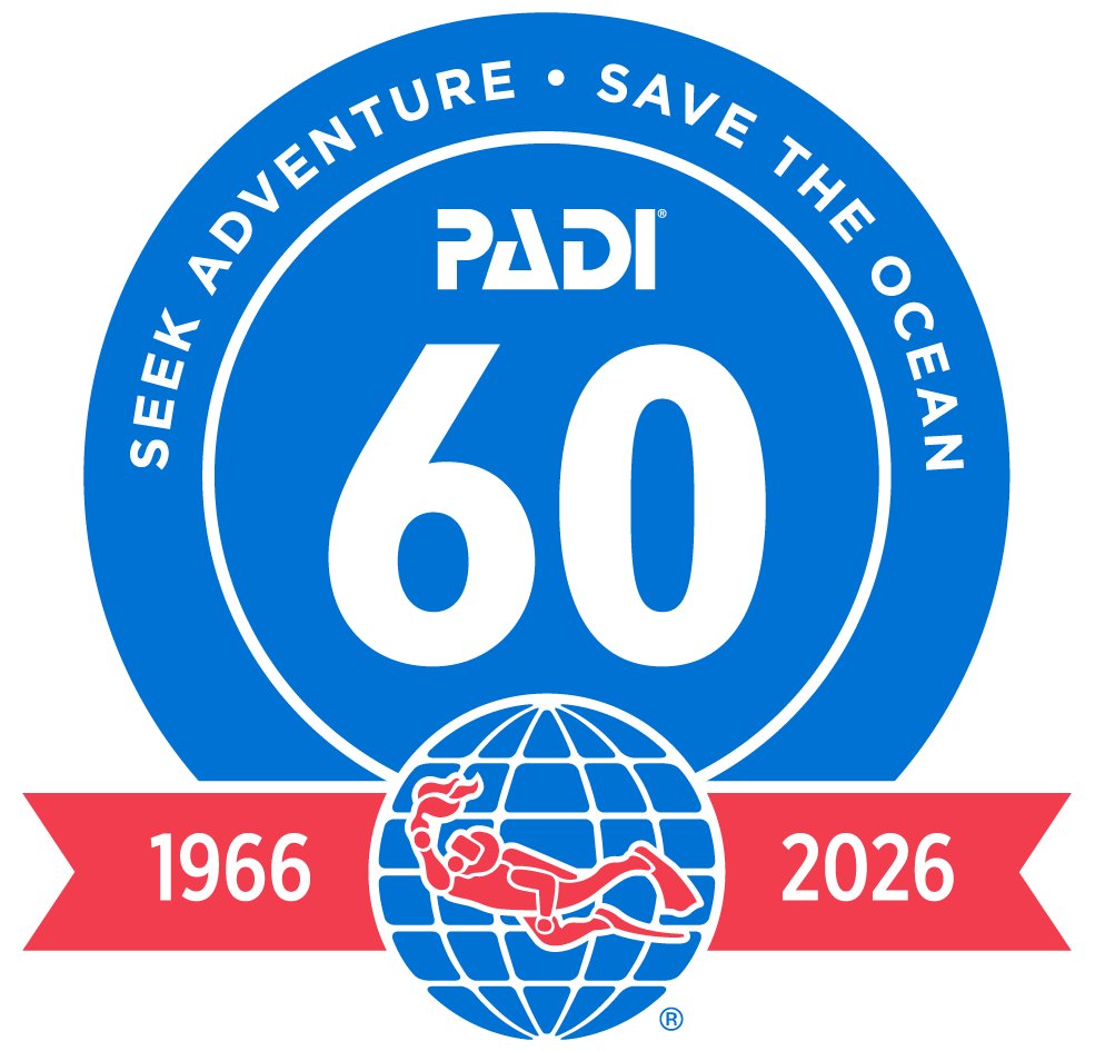 padi_60 years