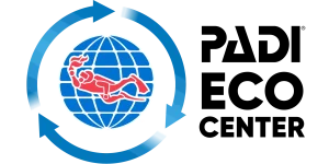 Seahorsedive padi eco center