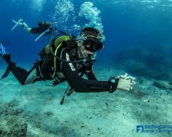 padi open water course