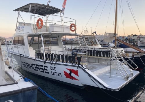 ΚΑΤΑΔΥΤΙΚΟ ΣΚΑΦΟΣ